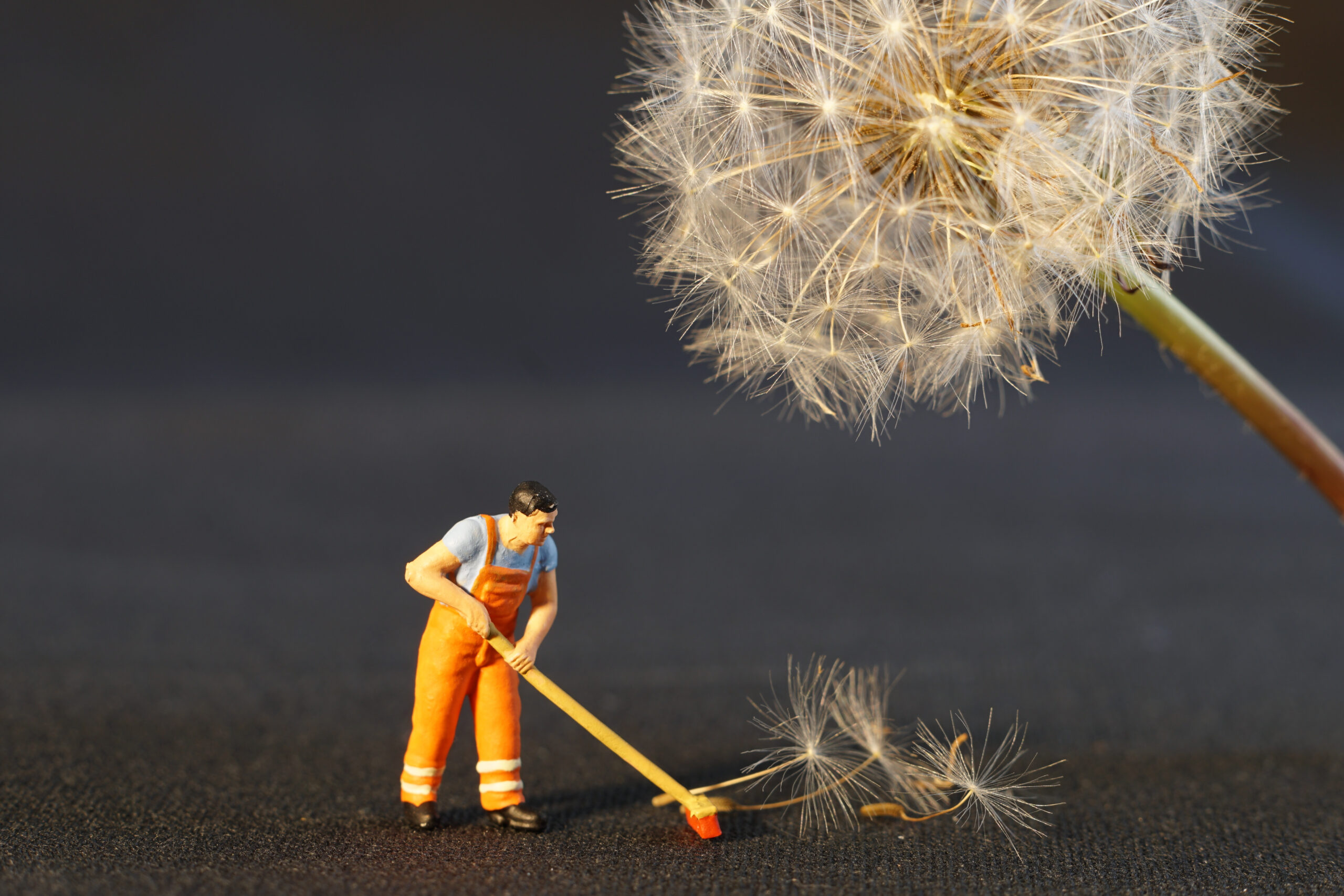 Cleaning concept — miniature worker with dandelion seeds